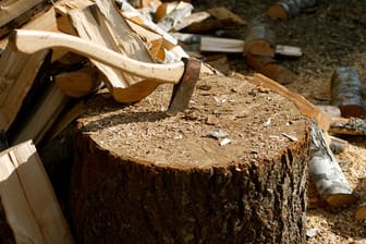Da Kiefern sehr schnell wachsen, sind sie als Brennholz recht günstig erhältlich. Das Holz lässt sich zudem gut spalten und lagern.