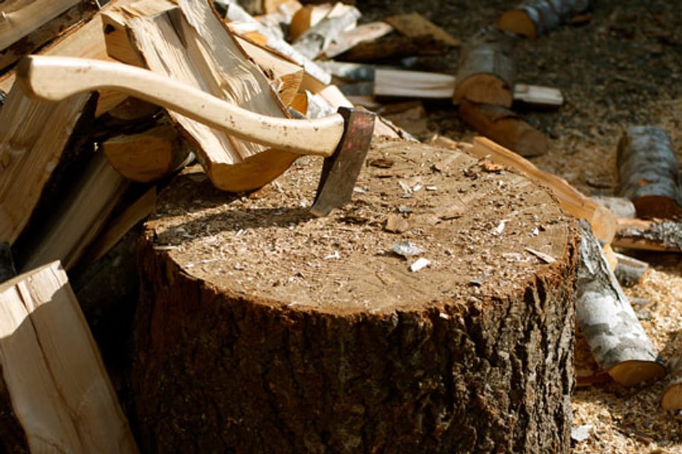 Da Kiefern sehr schnell wachsen, sind sie als Brennholz recht günstig erhältlich. Das Holz lässt sich zudem gut spalten und lagern.