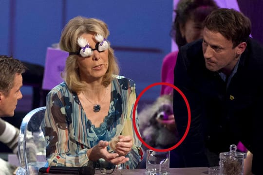 "Wetten, dass..?": Pudel stirbt nach Tier-Wette