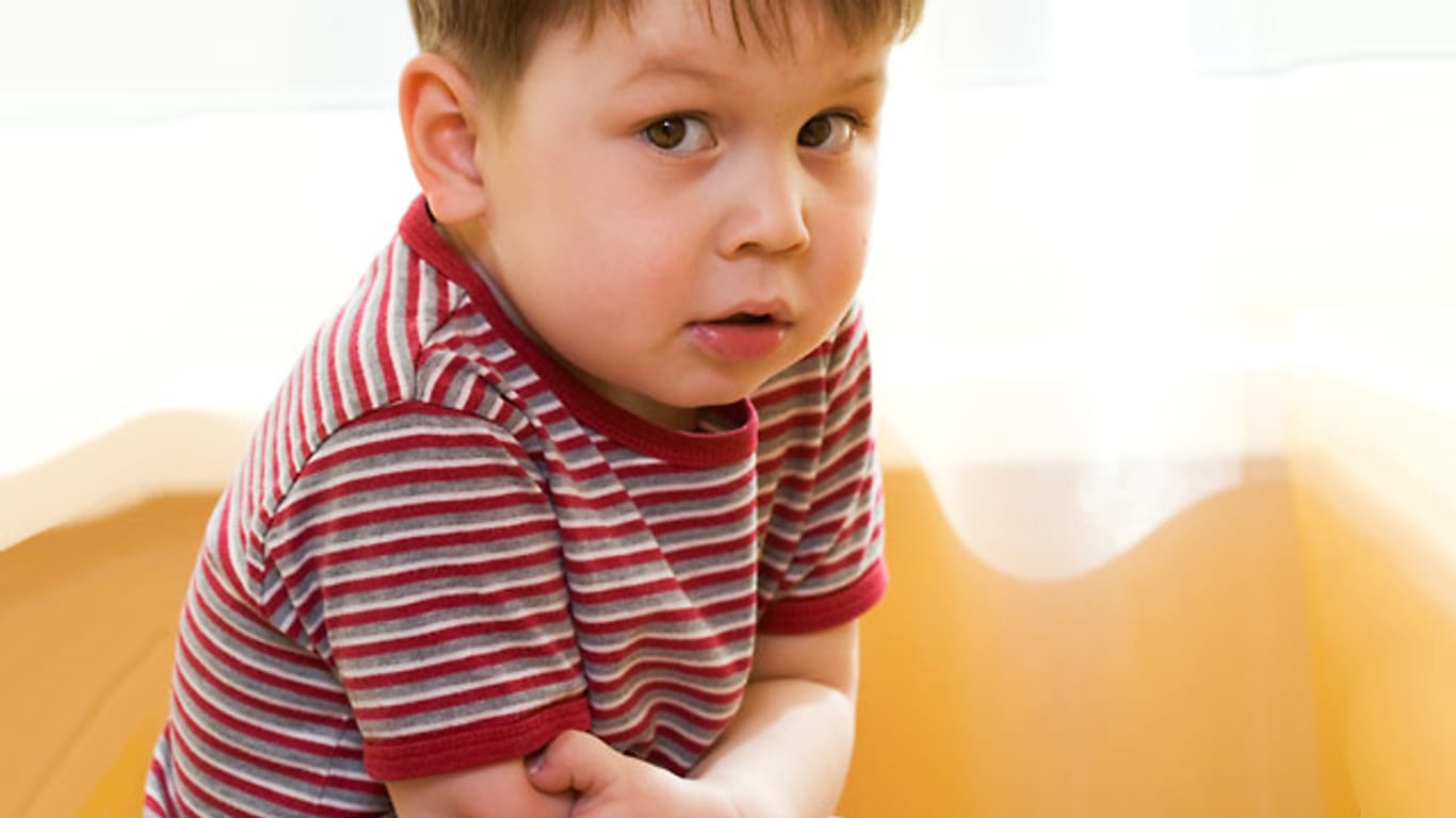 Spulwürmer können unter anderem Bauchschmerzen bei Kindern auslösen.