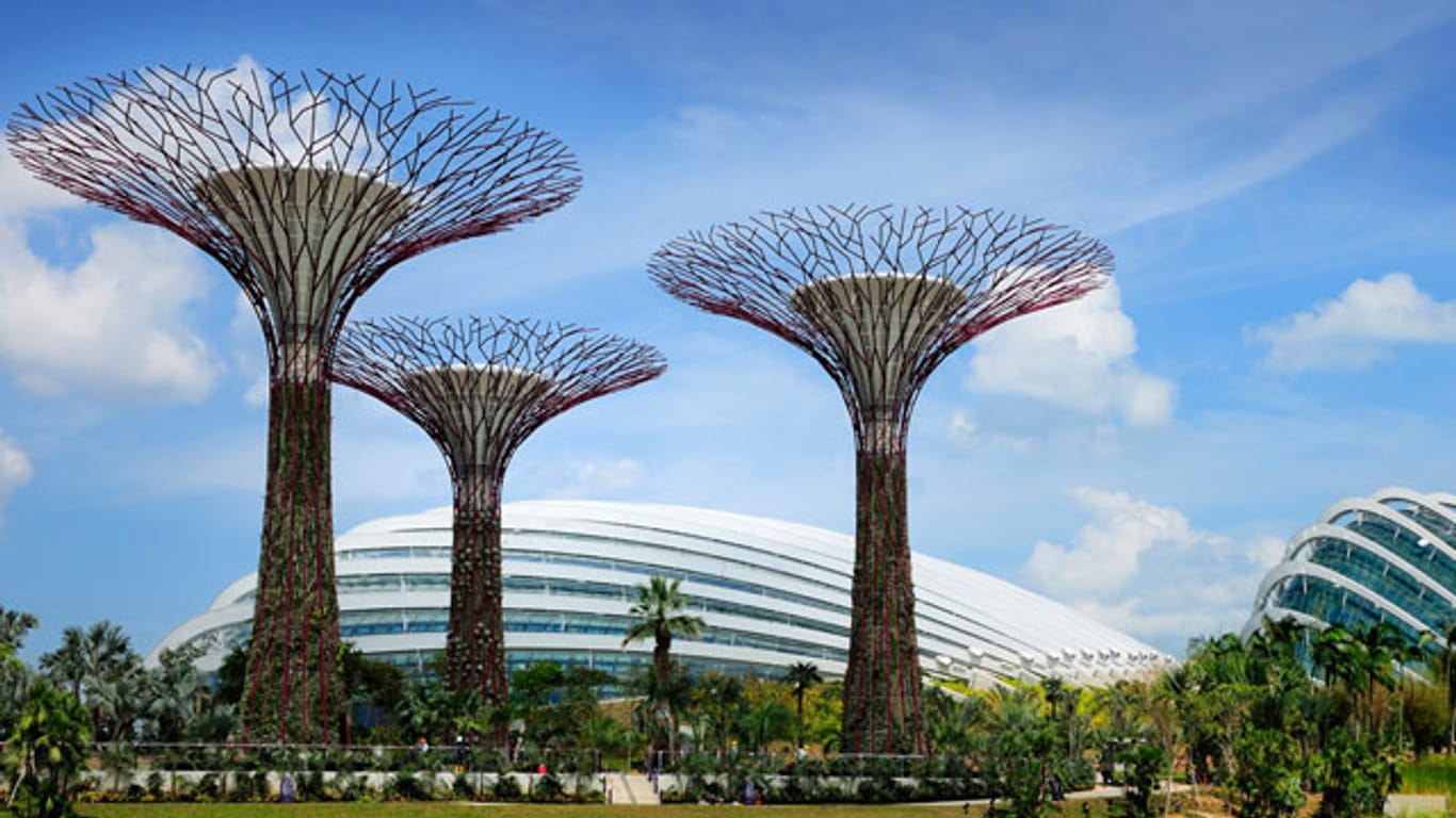 Singapur: Stahlbäume des "Gardens by the Bay"
