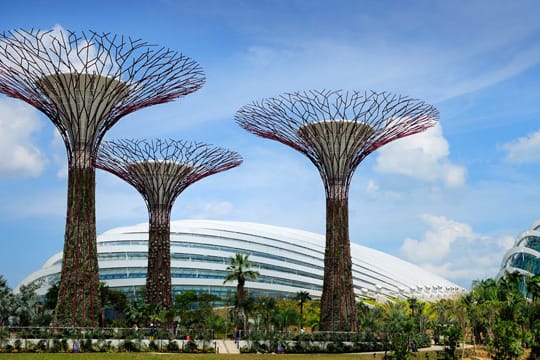 Singapur: Stahlbäume des "Gardens by the Bay"