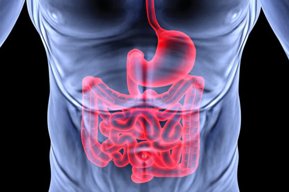 Bei der Magenspiegelung können Speiseröhre, Magen und Zwölffingerdarm untersucht werden.