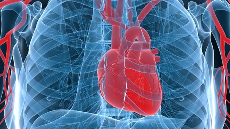 Eine Herzmuskelentzündung ist oft schwer zu erkennen, da die Symptome oft nicht eindeutig sind.