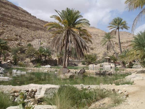 Die Wasserqualität im Wadi Bani Khalid ist sogar richtig gut.