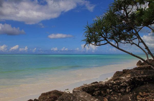 Ganzjährig angenehme Badetemperaturen locken besonders Urlauber nach Sansibar, die mit Vorliebe am Strand faulenzen.