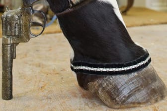 Die Künstlerin Iris Schieferstein fertig Schuhe aus Hufen.