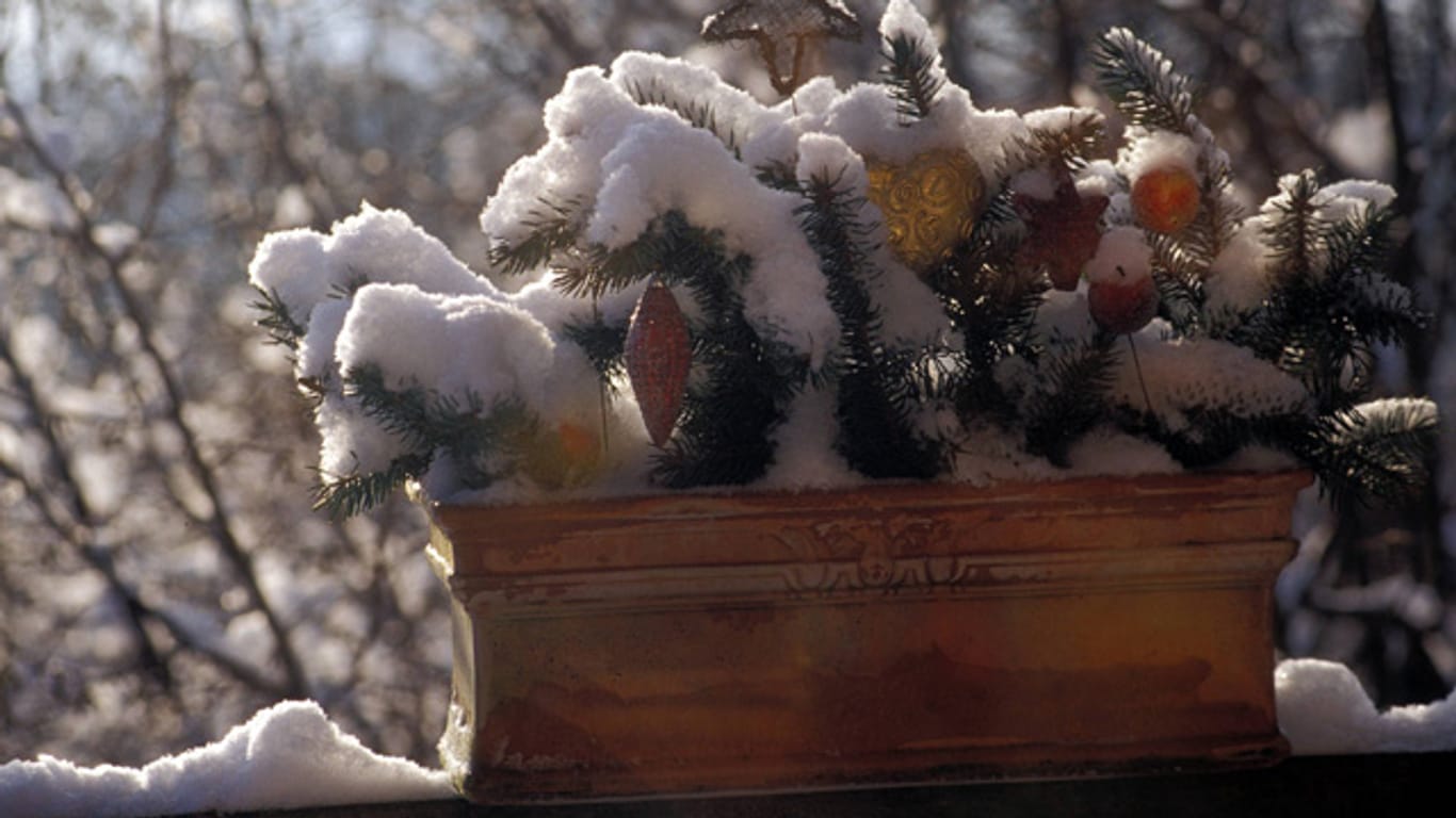 Gefrorenes Gießwasser kann bei Frost für Pflanzen in Balkonkästen und Blumentöpfen gefährlich werden.