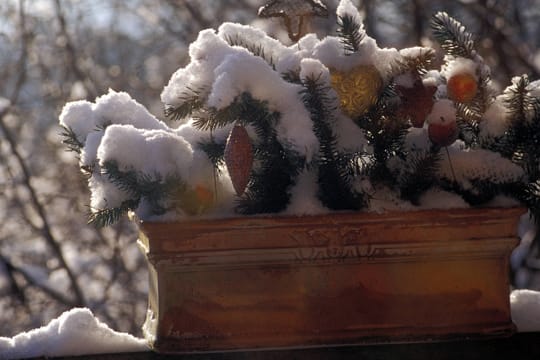 Gefrorenes Gießwasser kann bei Frost für Pflanzen in Balkonkästen und Blumentöpfen gefährlich werden.