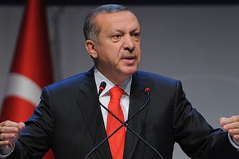 Harsche Kritik aus Deutschland an dem türkischen Ministerpräsidenten Erdogan