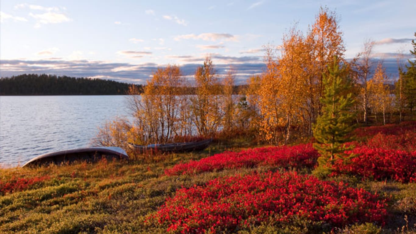 "Colourful Season" in Finnland.
