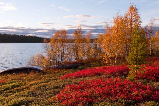 "Colourful Season" in Finnland.