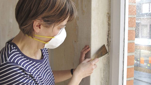 Achten Sie bei der Schimmelentfernung auf Ihre Gesundheit