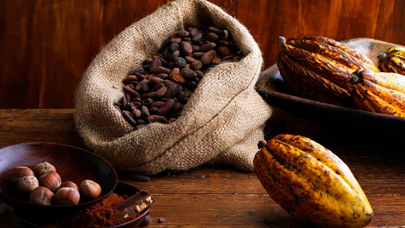 Mit Kakao kann man auch wunderbar seine Speisen verfeinern.