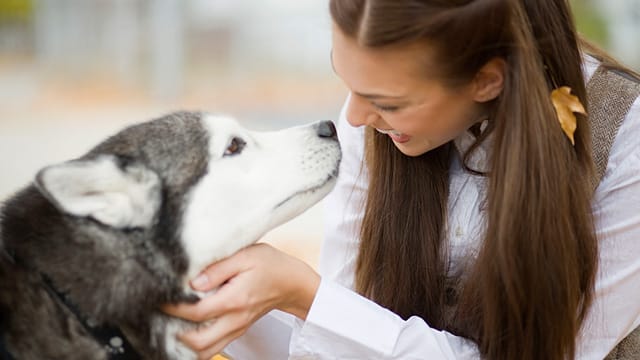 Tiere: Streicheln wirkt sich positiv auf die Gesundheit aus.