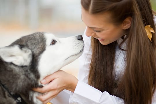 Tiere: Streicheln wirkt sich positiv auf die Gesundheit aus.