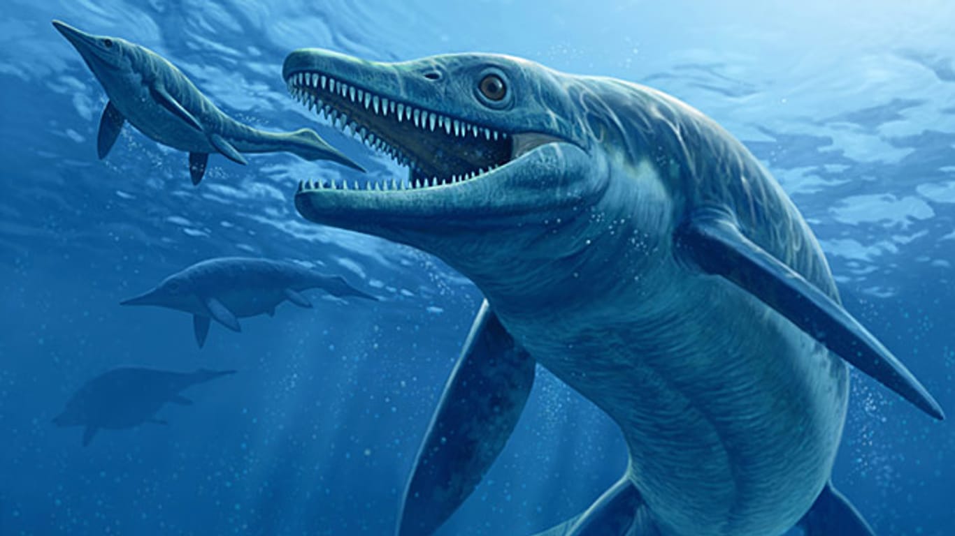 Der 8,60 Meter lange Fischsaurier Ichthyosaurier Thalattoarchon saurophagis