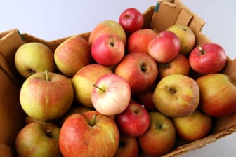 Eine Kiste voller Äpfel.