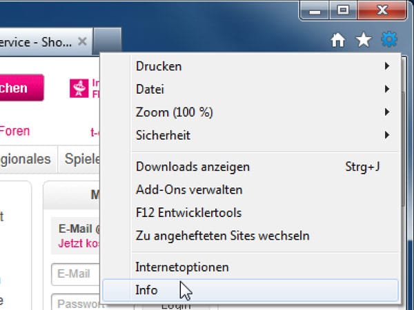 Webbrowser-Version ermitteln