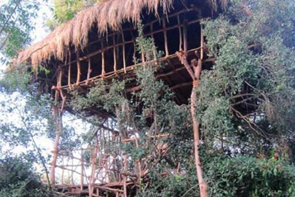 Weerawila, Sri Lanka: Baumhaus auf Sri Lanka mit Platz für 10 Personen.