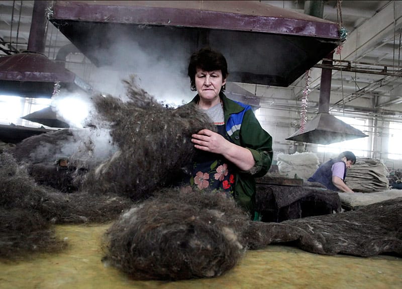Filzen ist überwiegend Frauensache. Die Arbeiterinnen reinigen und kämmen die Wolle und legen sie als Bündel zusammen.