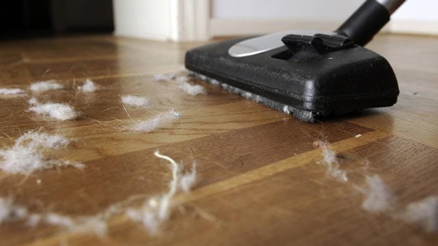 Ein guter Staubsauger wird auch mit hartnäckigen Staubflocken fertig.