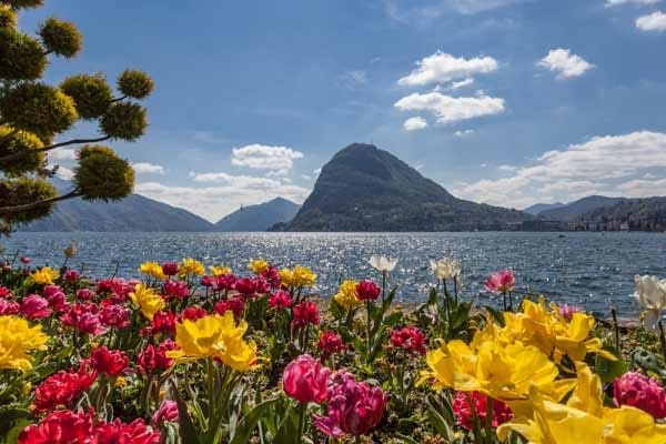 Im südlichsten Zipfel der Schweiz gedeihen Palmen, Oleanderbüsche und Olivenbäume - kein Wunder, dass sich da schnell ein mediterranes Lebensgefühl einstellt. Sonnenbrille und T-Shirt sind die wichtigsten Accessoires für einen Frühlingsspaziergang entlang der Uferpromenade von Lugano.