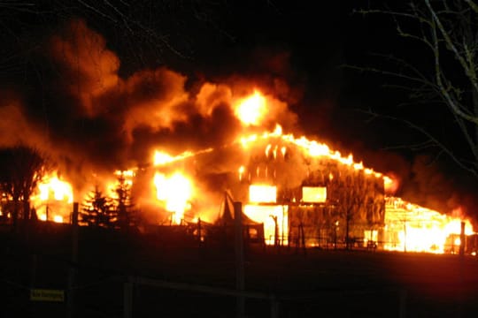 Bei dem verheerenden Brand auf einer Kamelfarm in Ebhausen in Baden-Württemberg sind 86 Tiere ums Leben gekommen.