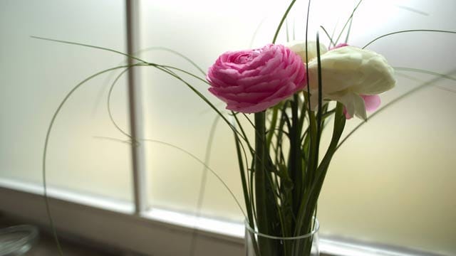 Manchmal reichen schon ein paar Blumen als Fensterschmuck