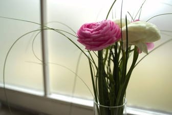 Manchmal reichen schon ein paar Blumen als Fensterschmuck