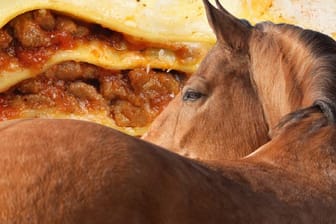 Pferdefleisch-Skandal: Was Verbraucher wissen sollten.