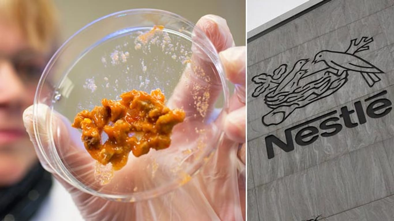 Pferdefleisch-Skandal: Auch in Nestlé-Produkten steckt Pferdefleisch.