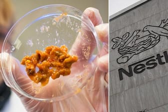 Pferdefleisch-Skandal: Auch in Nestlé-Produkten steckt Pferdefleisch.