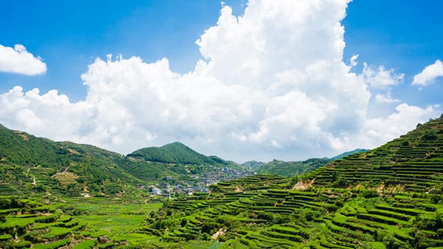 Aus der Region Fujian kommt der original Rauchtee