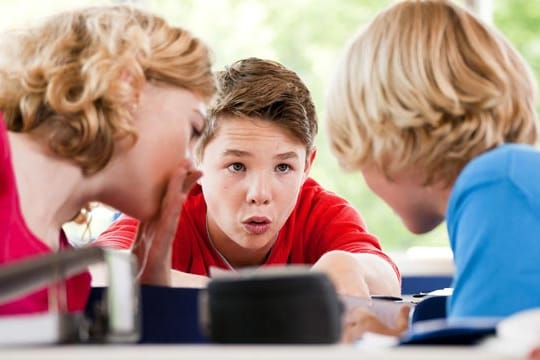 Sitzenbleiben: Bald nur noch "Blümchenschule"? Rot-grüne Koalition in Niedersachsen plant Abschaffung des Sitzenbleibens.