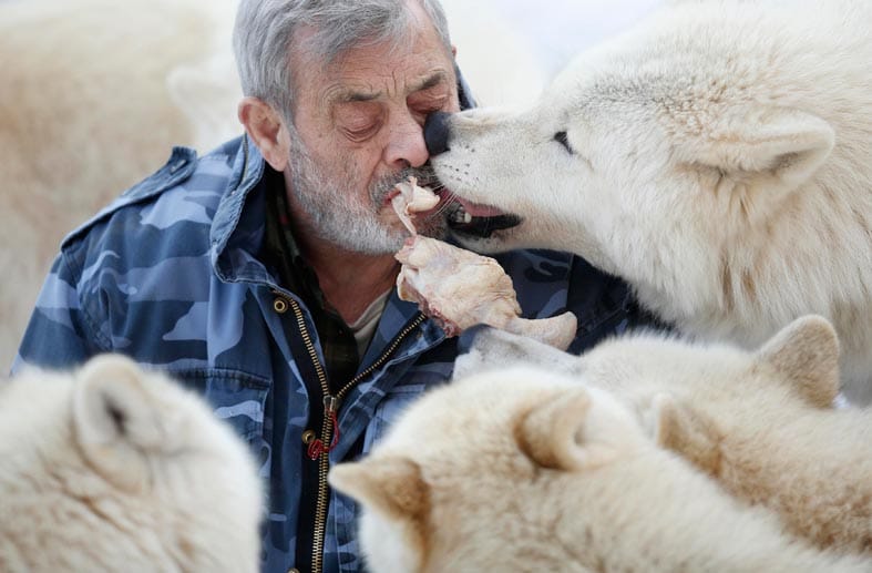 Wolfsforscher Werner Freund hatte sein Leben mehr als vierzig Jahre lang den Wölfen verschrieben.