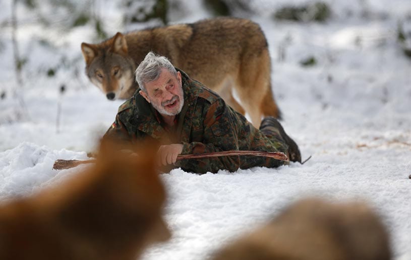 So mochte es Wolfsforscher Freund am liebsten: In freier Natur bei seinem Rudel Zeit verbringen.