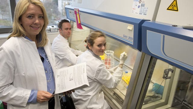 Durchbruch bei der Behandlung der seltenen Erkrankung PAP: Die Leiterin des Forschungsteams der Medizinischen Hochschule Hannover, Gesine Hansen, neben ihren Mitarbeitern Christine Happle und Nico Lachmann.