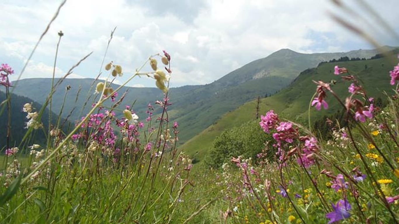 Unberührte Natur auf dem Peaks of the Balkans Trail.