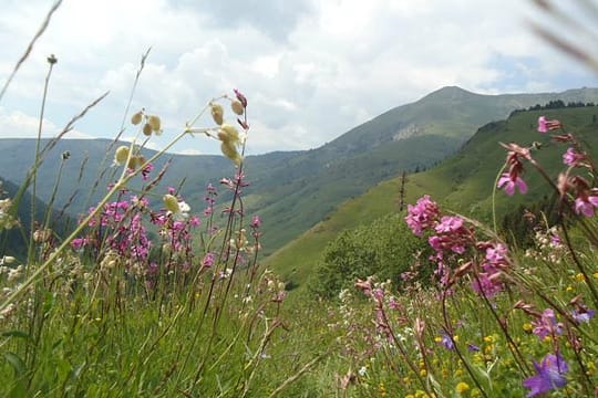 Unberührte Natur auf dem Peaks of the Balkans Trail.