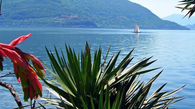 Der Blick von der Brissago-Insel Isola Grande auf den Lago Maggiore bedeutet pure Idylle.