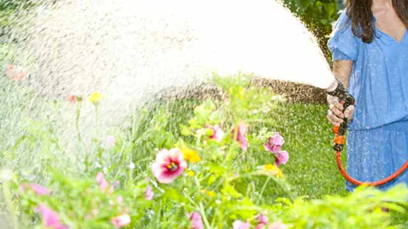 Eine Frau gießt ihren Garten mit dem Schlauch: Richtiges Gießen ist eine Kunst für sich.