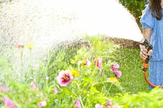 Eine Frau gießt ihren Garten mit dem Schlauch: Richtiges Gießen ist eine Kunst für sich.