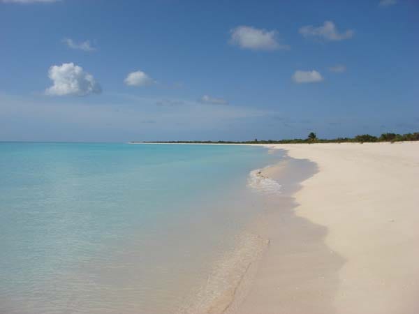 Lighthouse Bay ist ein paradiesischer Sandstreifen auf der kleinen Insel Barbuda, wo nur knapp 2000 Menschen leben.