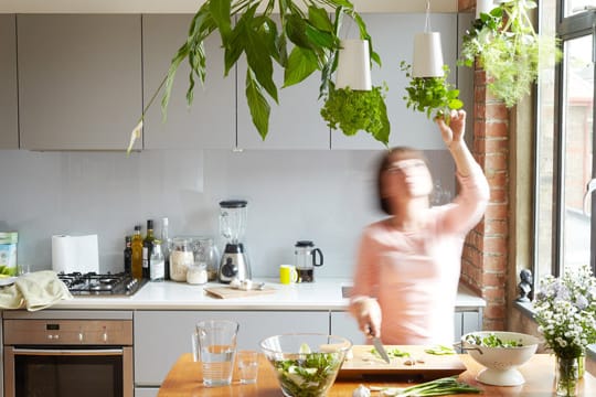 Spezielle Pflanzgefäße lassen frische Küchenkräuter kopfüber von der Decke wachsen.