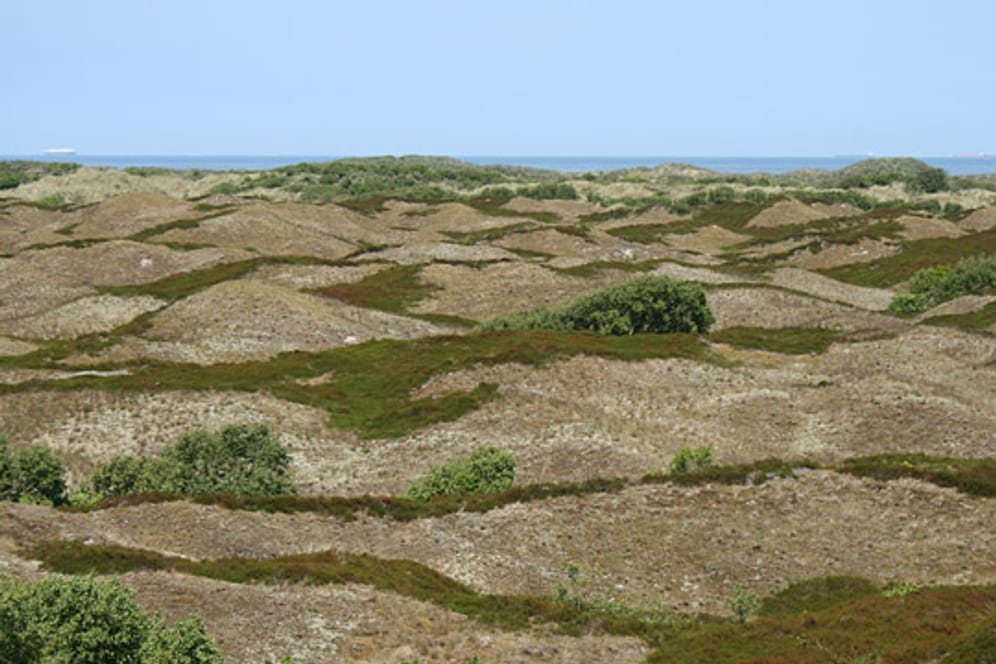 Nationalpark Niedersächsisches Wattenmeer: Dünenlandschaft auf der Insel Spiekeroog.