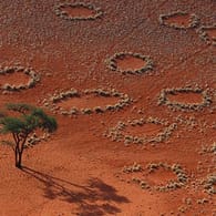 Luftbild von Namibrand, Namibia: Viele Termiten gesichtet - aber sind die Tierchen die Ursache?