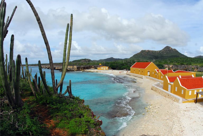Schon 1979 wurde rund um die Insel der Bonaire Marine Park als einer der größten Unterwasser-Naturschutzgebiete der Welt eingerichtet.