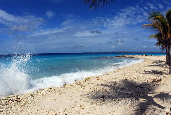 Palmen, Strand, türkisblaues Meer: Bonaire eignet sich für einen Badeurlaub.
