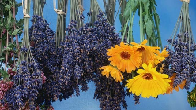 Blumen trocknen: Den Strauß kopfüber aufhängen